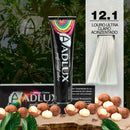 Coloração Creme Adlux 12.1 Louro Claríssimo Acinzentado - 60g