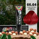 Coloração Creme Adlux 66.64 Louro Escuro Vermelho Acobreado - 60g