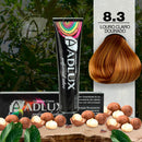 Coloração Creme Adlux 8.3 Louro Claro Dourado - 60g